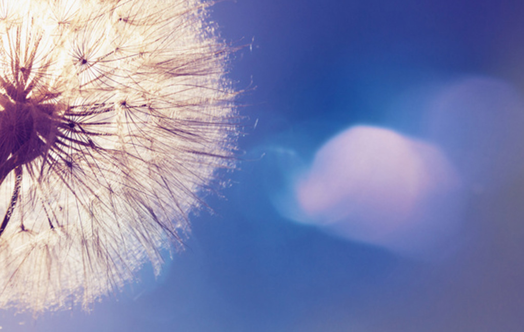 利来w66(中国区)_来利国际旗舰厅